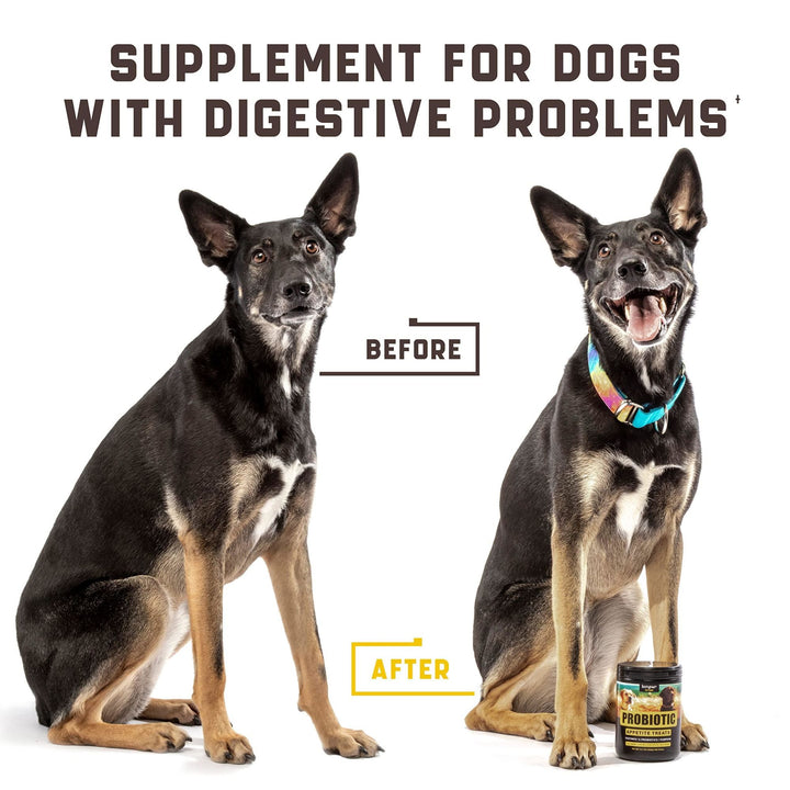 Probiotics for Dogs Support Gut Health Itchy Skin Allergies Yeast Balance Immunity Dog Probiotics and Digestive Enzymes for Small Medium and Large Dogs 180 Probiotic Chews for Dogs Duck Flavor